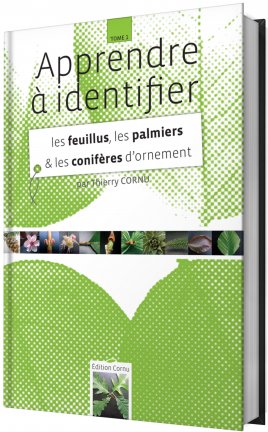 Les feuillus, les palmiers & les conifères d’ornement