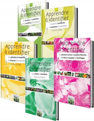 Pack vendeur/conseil